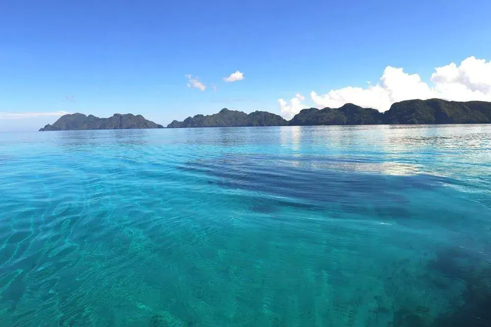 Pura Vida Inn & Tours