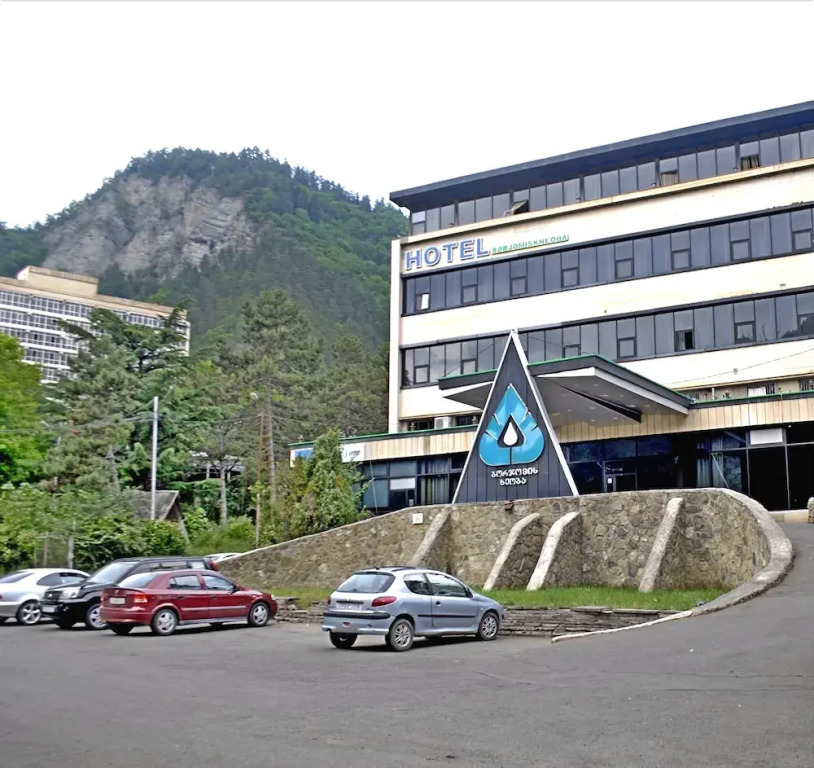Eleon Borjomi