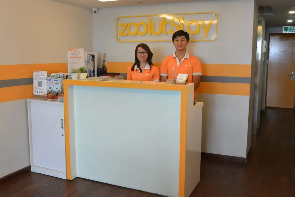 Zoolut Stay 278