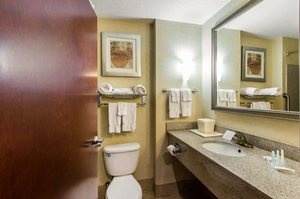 Comfort Suites Forsyth near I-75