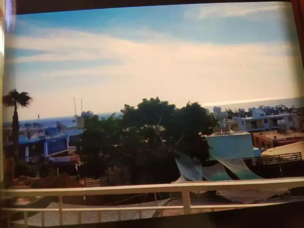 Panorama 44 Agya Napa