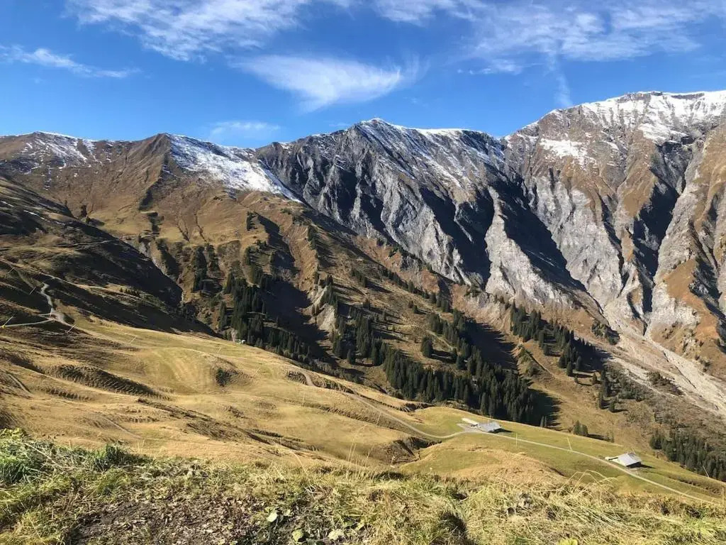 1-room apartment * directly by the cable car * Bernese Alps