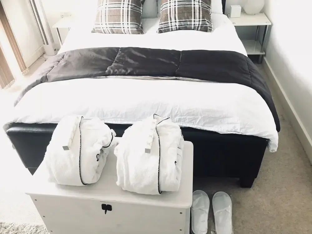 Double Room In London Shared Penthouse