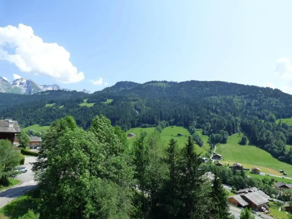 Appartement Le Grand-Bornand, 2 pièces, 6 personnes - FR-1-458-126