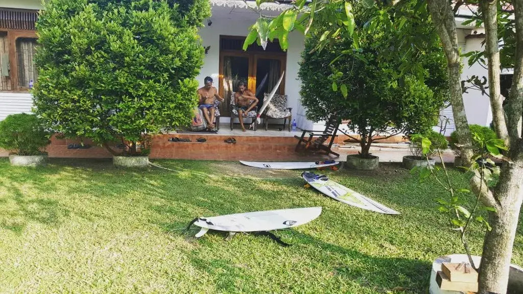Surfing Wombats