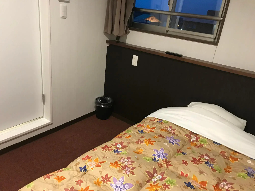 Hotel Famitic Nikko Station