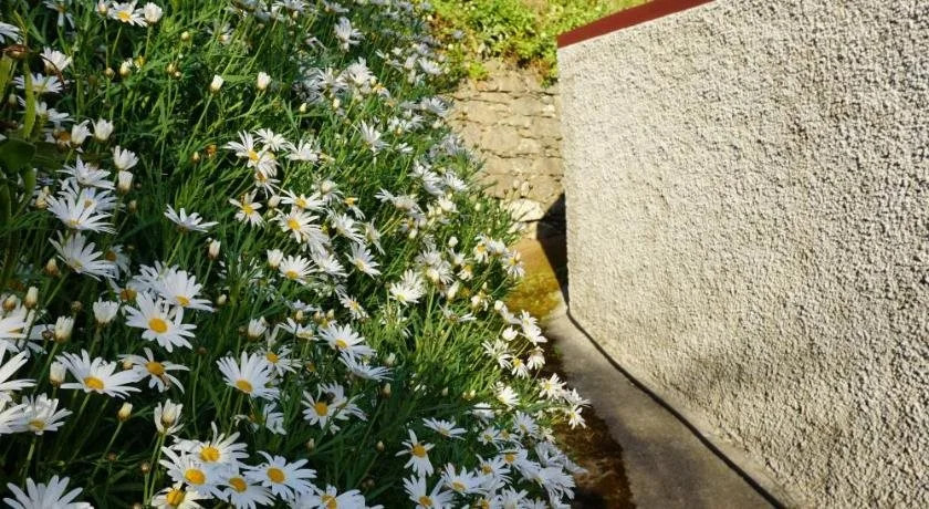 Yeotown Madeira Wellness Hotel and Nature Stay