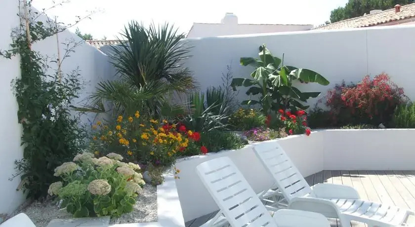 Le Pin Parasol