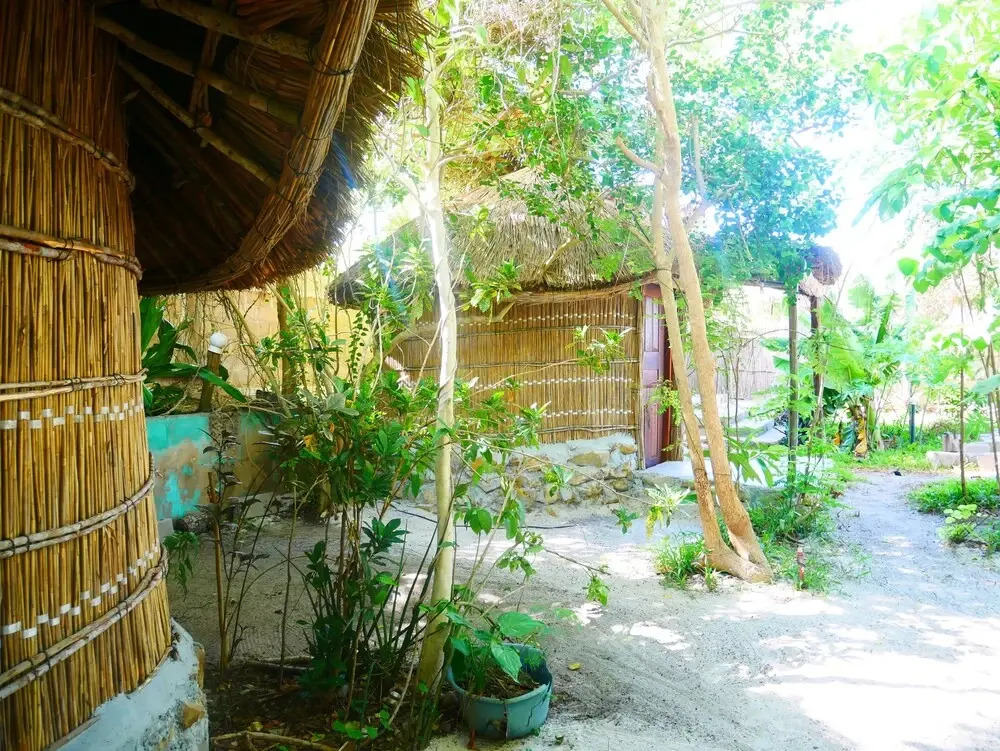 Bush Beach backpackers