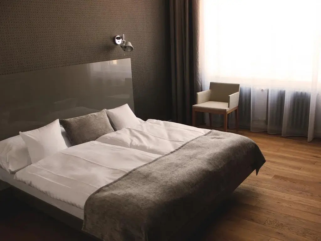 Hotel Lev