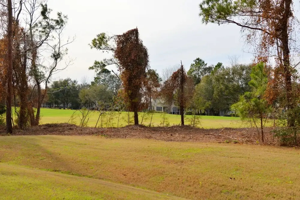 713 Ironwood Condo