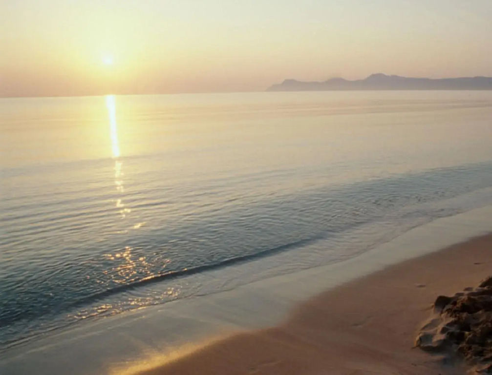 JS Sol de Alcudia
