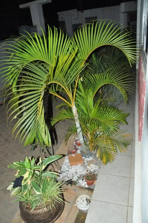 Trinity Resort Hotel & Spa