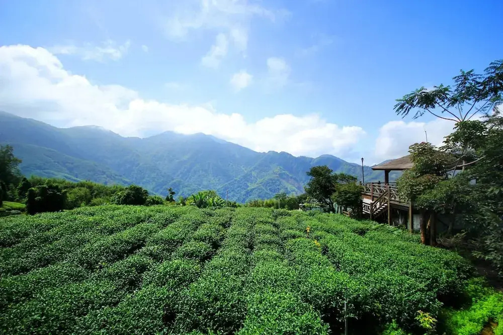 Xu Jia Chayuan B&B