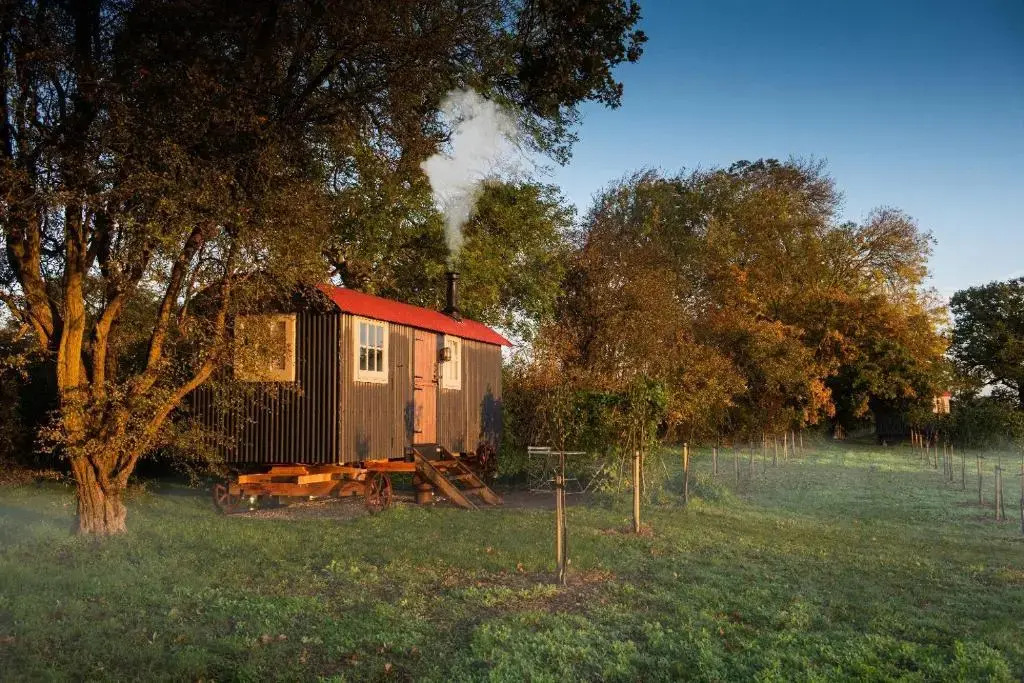 Wellbeing Orchard