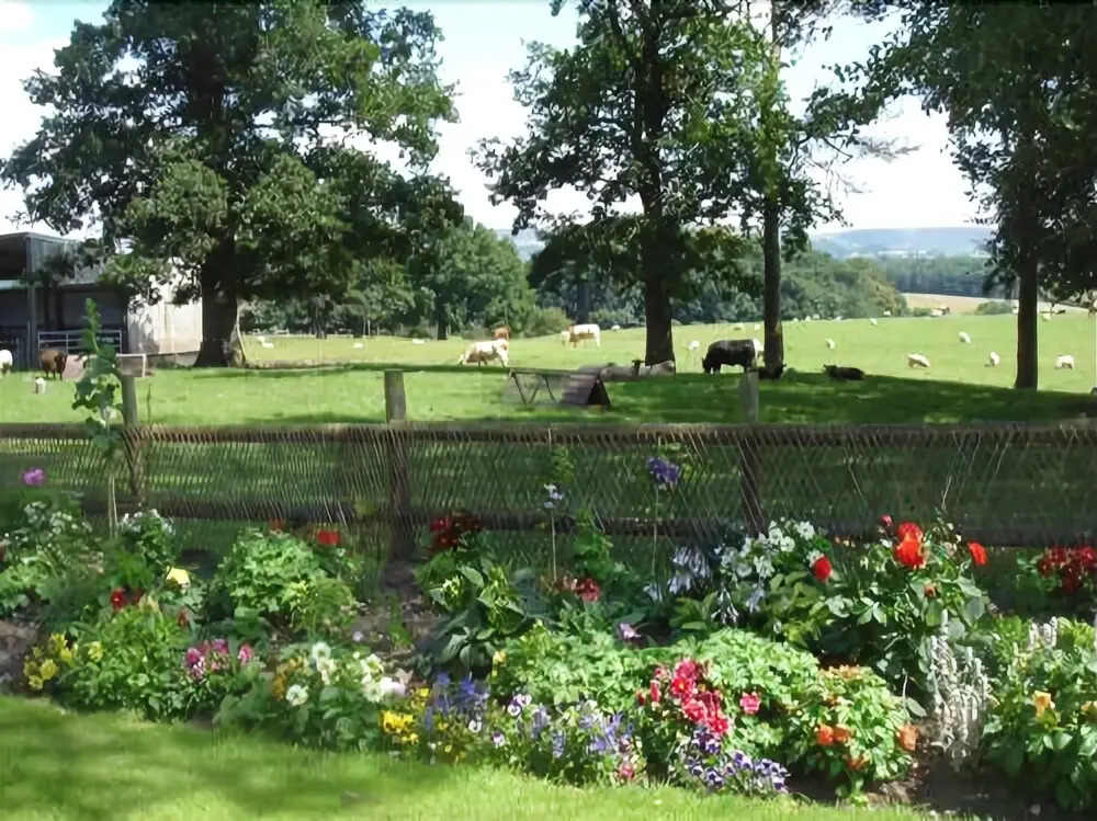 Yew Tree Farm