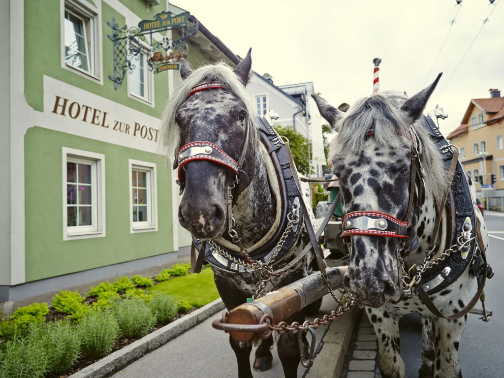 Das Grüne Hotel zur Post - 100 % BIO