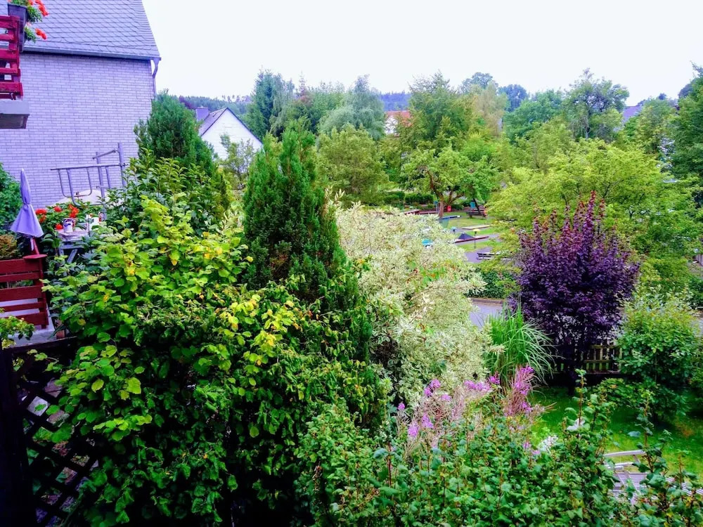 Apartment in Usseln Near Willingen Ski Area