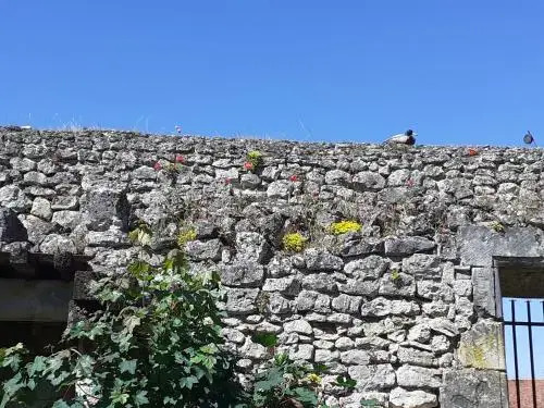 Chateau Laloin