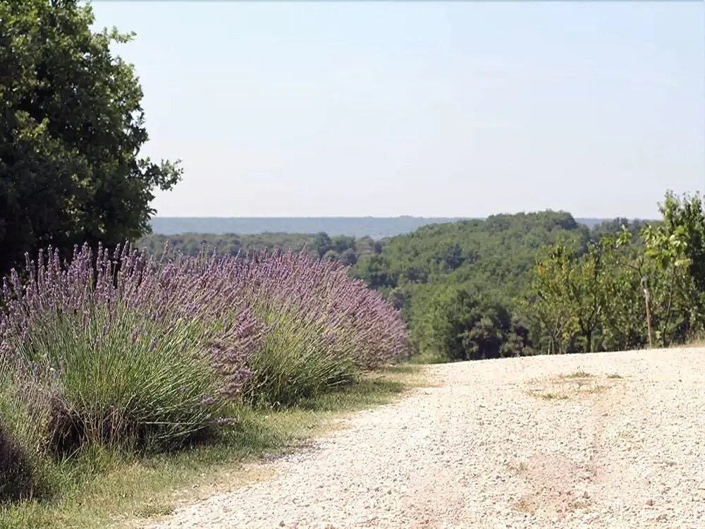 Mas de Pantaï - Cottage Le Bout du Près