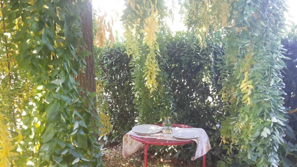 Casa Renée