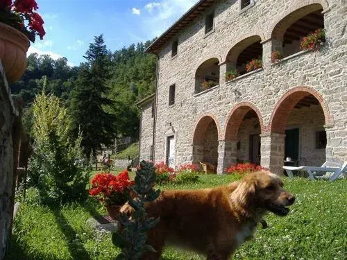 Agriturismo Casentino