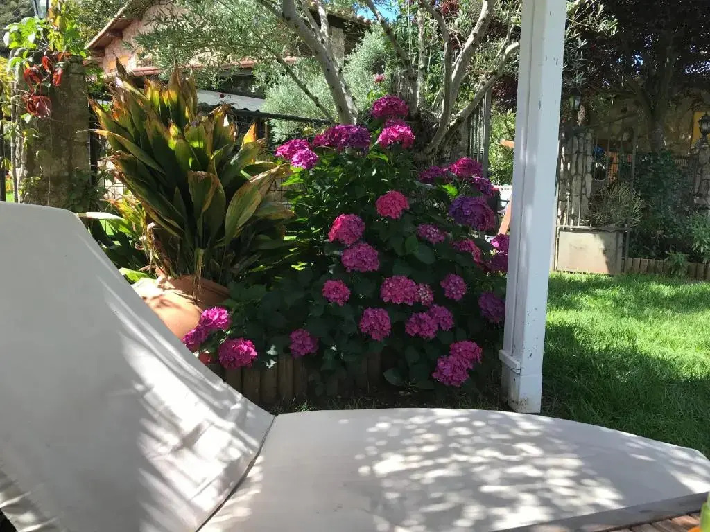 FINCA VERGEL Alojamiento con encanto habitaciones con baño