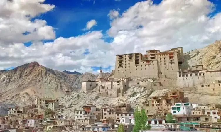 Hotel Nubra Residency - Hunder