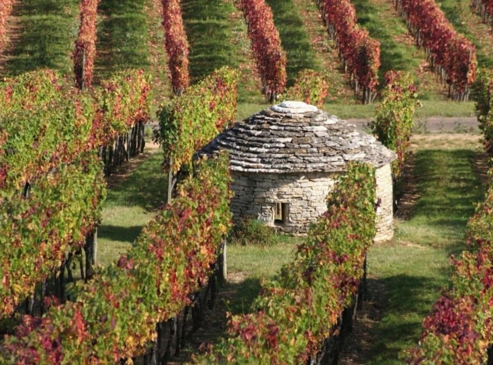 Douce Nuits