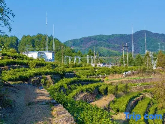 Luohu Mountain Homestay (Huangshan Tangkounandamen)