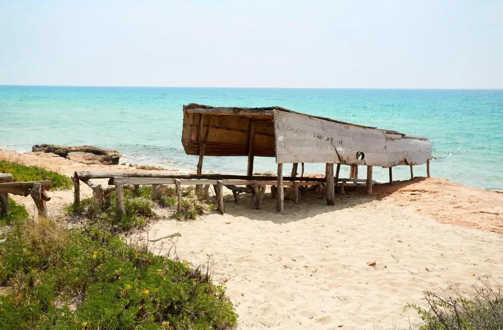 Insotel Hotel Formentera Playa