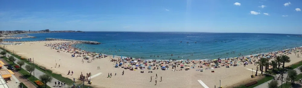 Rosa dels Vents
