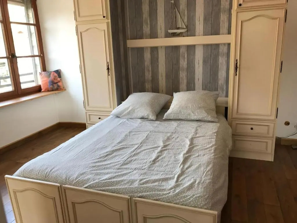La chouette au bouleau
