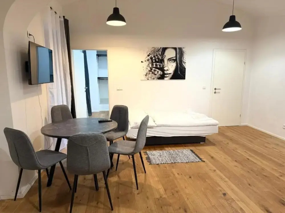 City Vienna Hirsch Apartment
