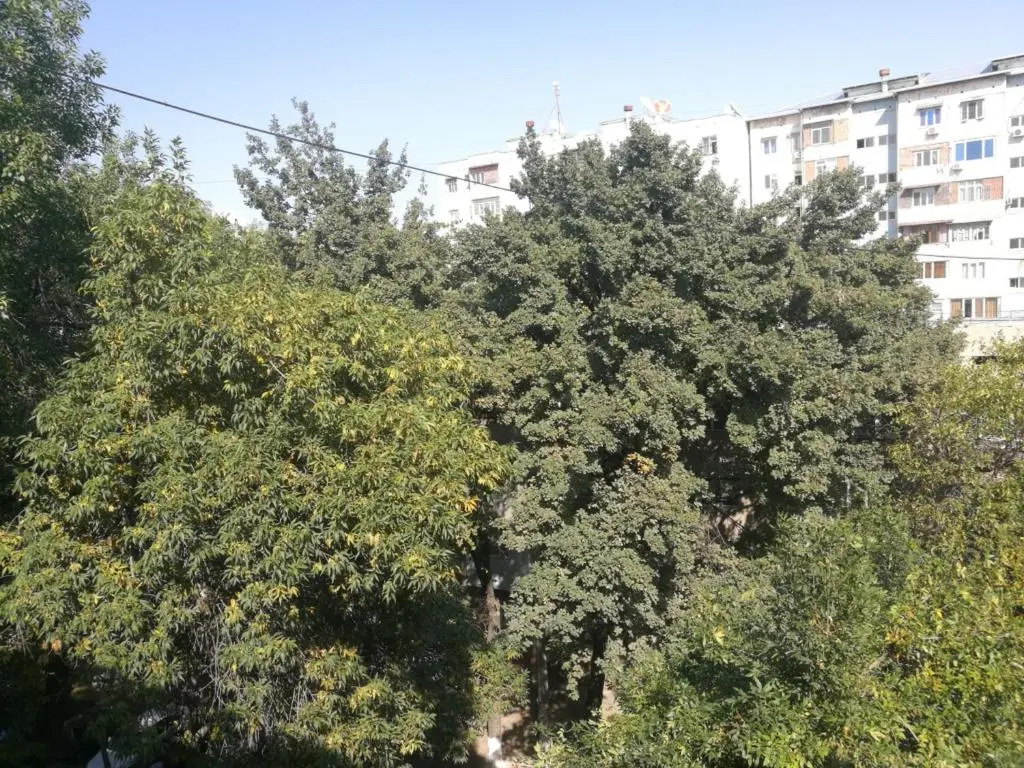 2 bed room Apartment in Center Апартамент в центре 3 комнаты