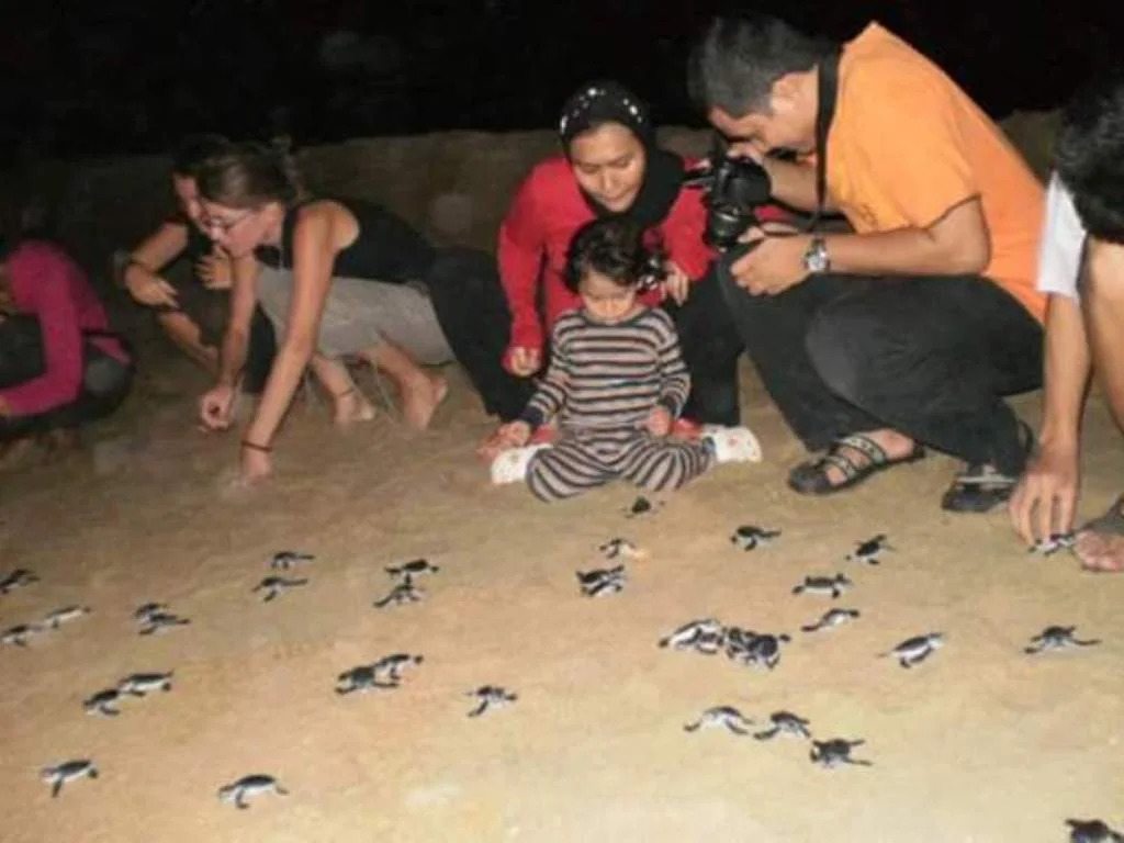 Kemaman Sands