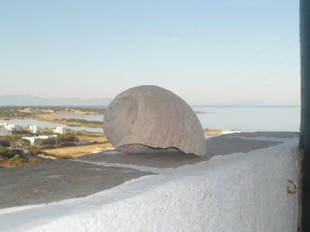 Glyfada View Studios