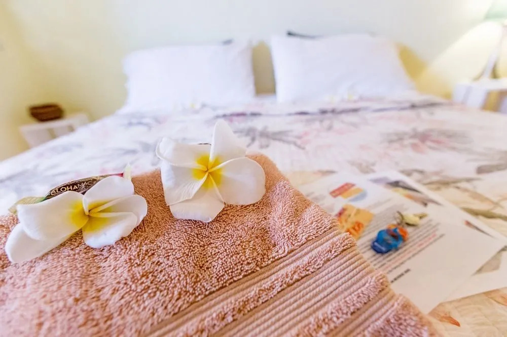 Nalu Kai Lodge Paia