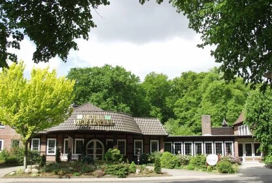 Vier Linden
