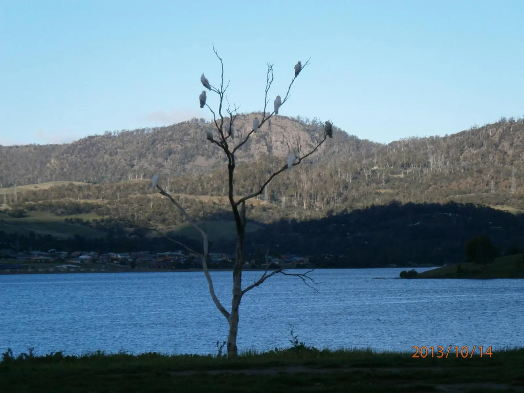 Derwent Retreat
