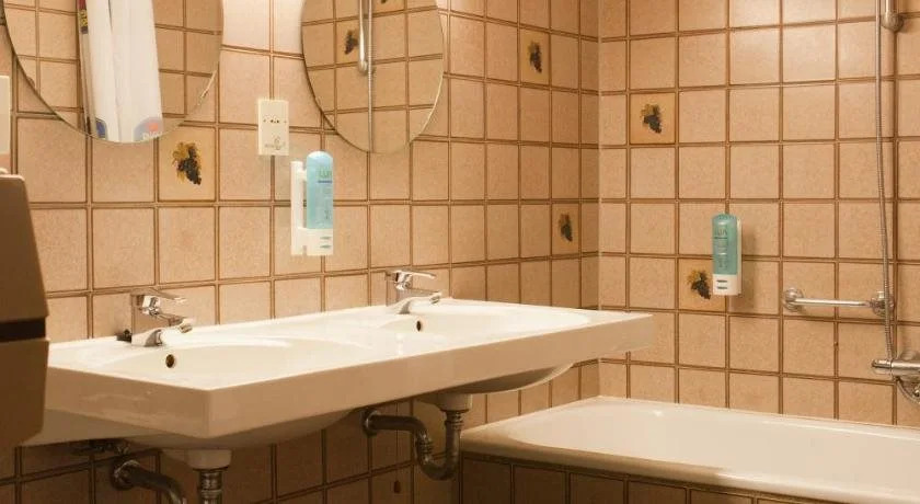 Best Western Hotel De Druiventros