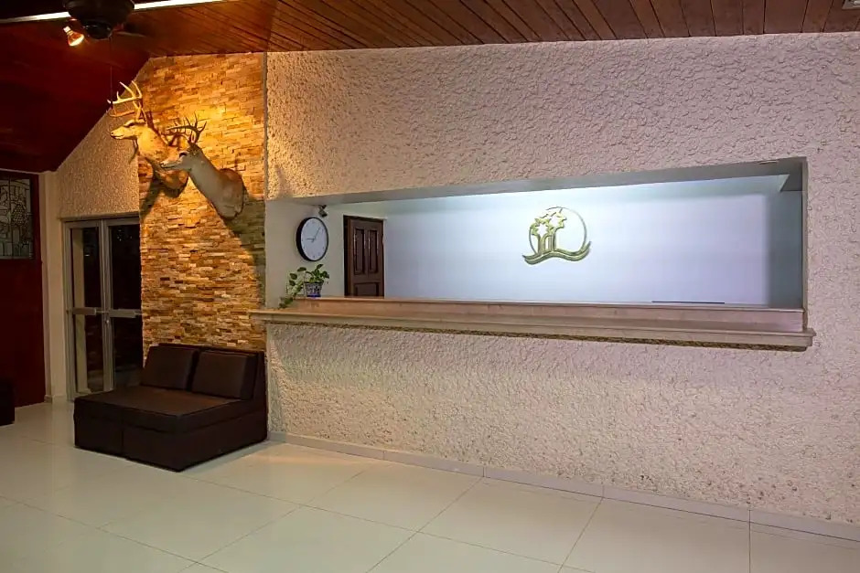 Hotel Plaza Palmas
