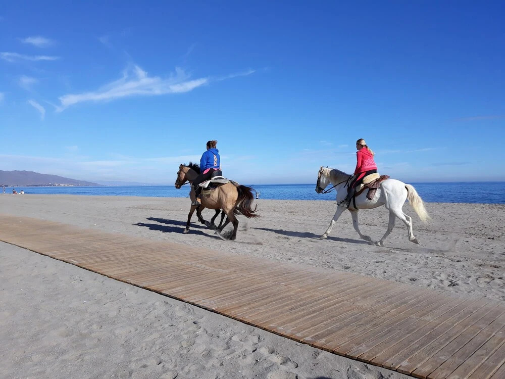 SUN, BEACH & SPA ALL THE YEAR beautiful place to enjoy in summer or winter
