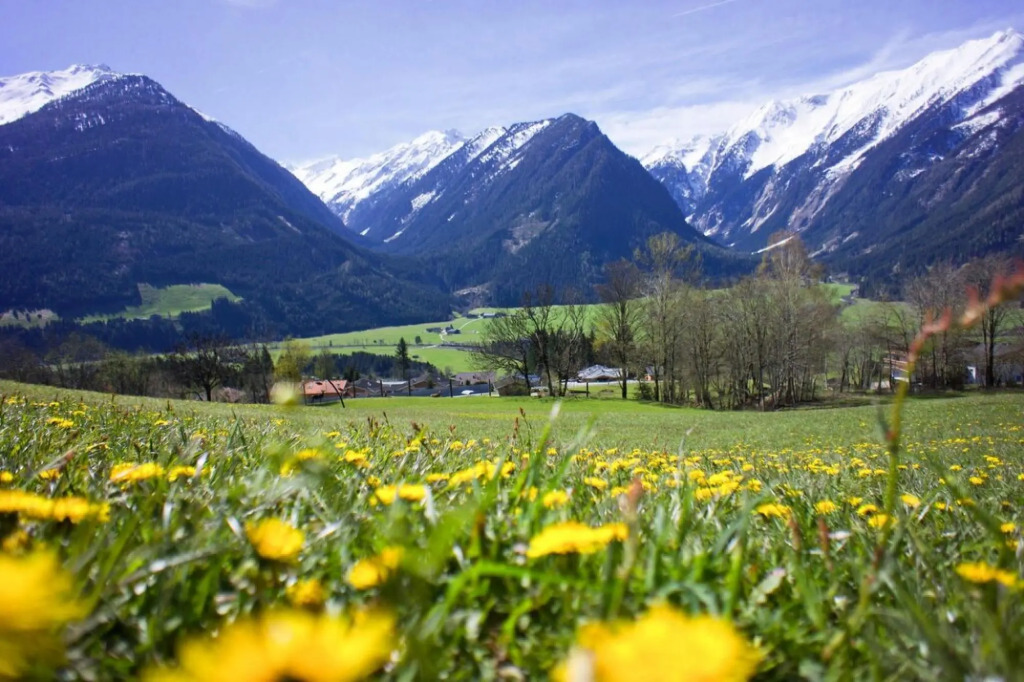 Apartment in Neukirchen with barbecue