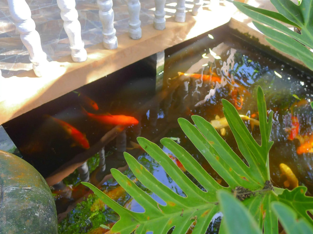 Garden Home Kata