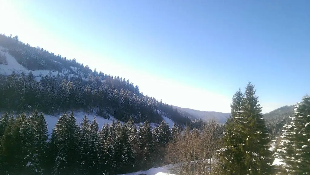 Studio sous les pistes avec vue sur la vallée