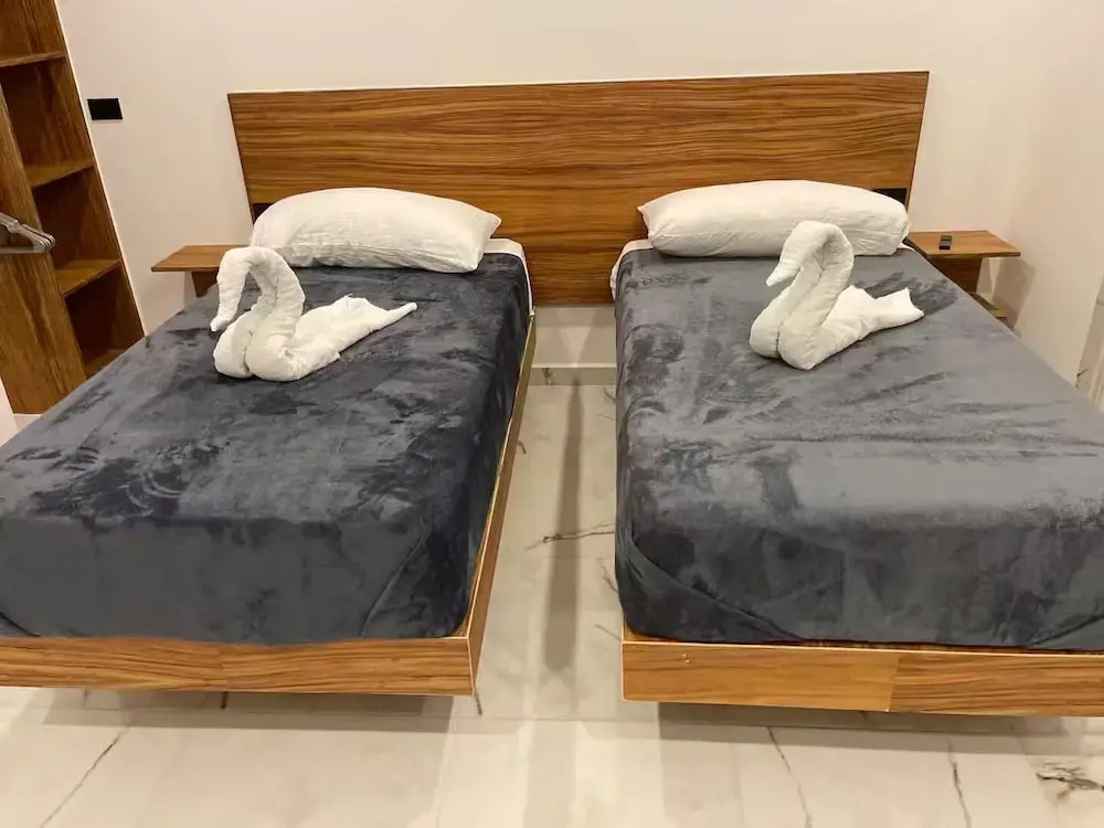 Alce33