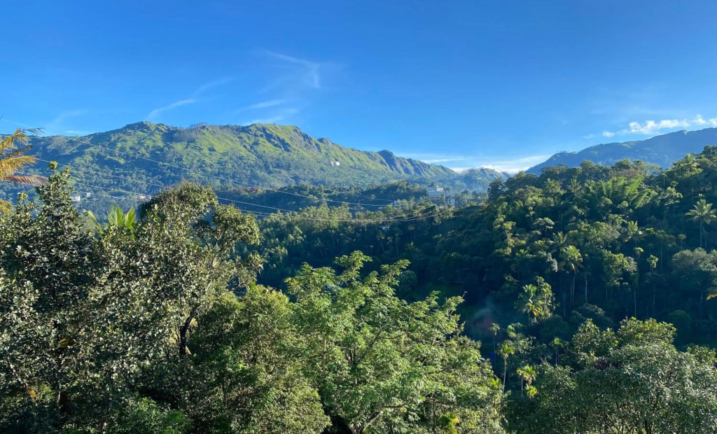Munnar BnB