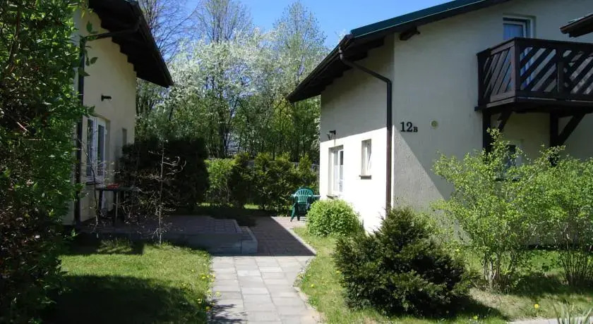 Róża Wiatrów