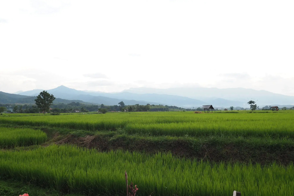 Pang Chompu